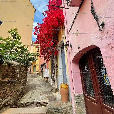 Apartamento 4cam35 Dans Avec Piscine *